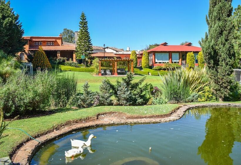 Quinta Tere Hotel & Gallery