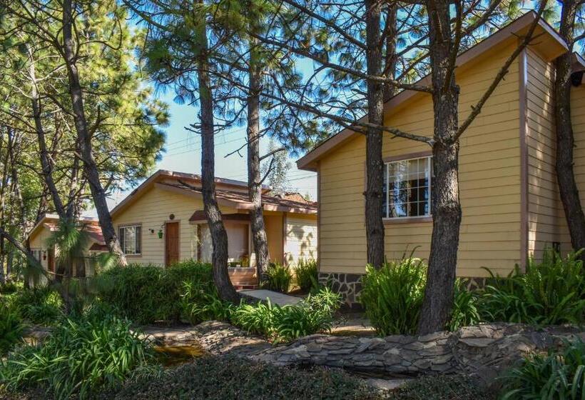 Quinta Tere Hotel & Gallery