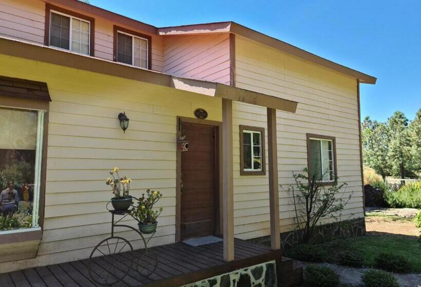 Quinta Tere Hotel & Gallery