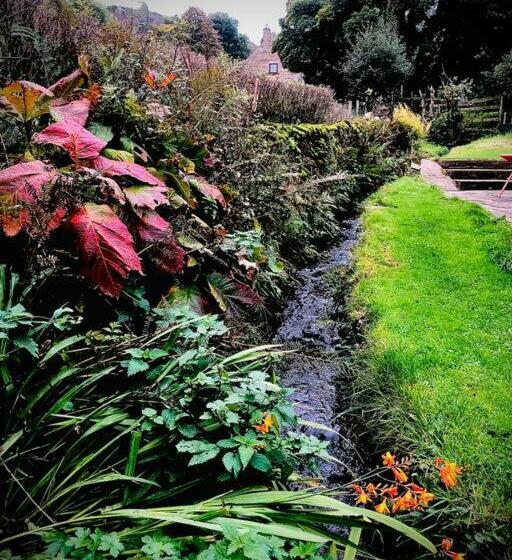 Beautiful Cosy Cottage By A Babbling Brook