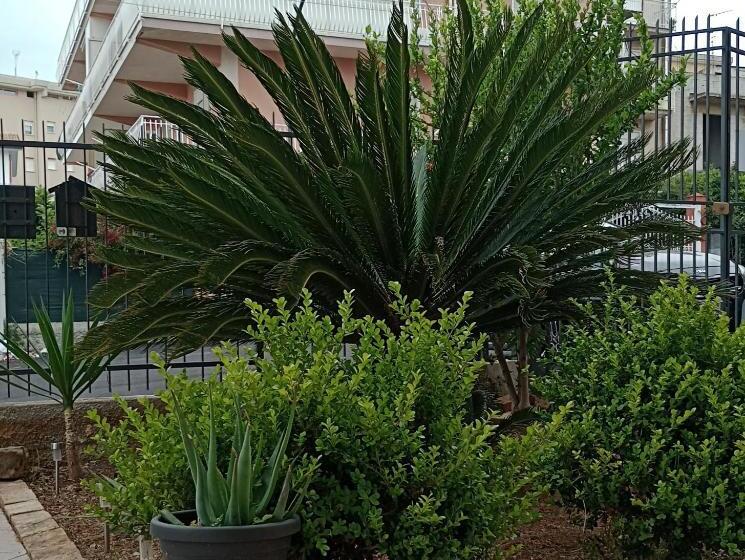 Bed and Breakfast La Cycas