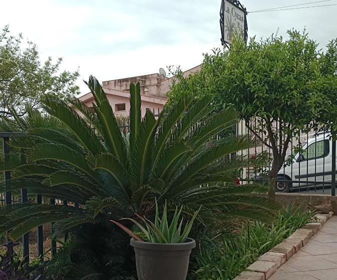 Bed and Breakfast La Cycas