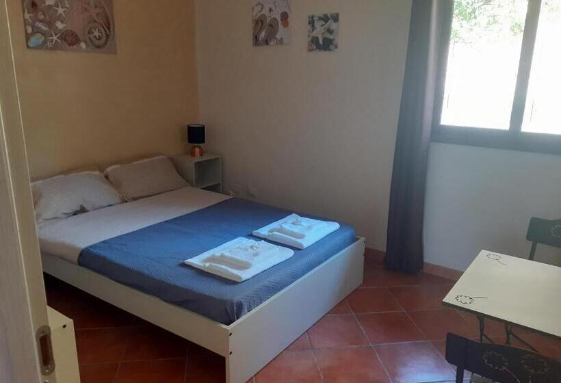 Bed and Breakfast La Cycas