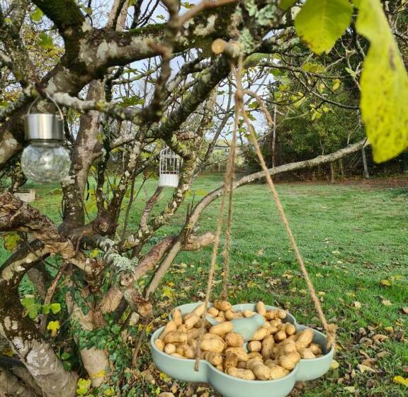 Bed and Breakfast Le Coq En Repos