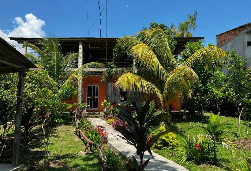 Bed and Breakfast Otorongo Guest House