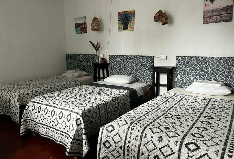 Bed and Breakfast Otorongo Guest House