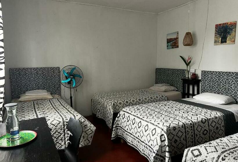 Bed and Breakfast Otorongo Guest House