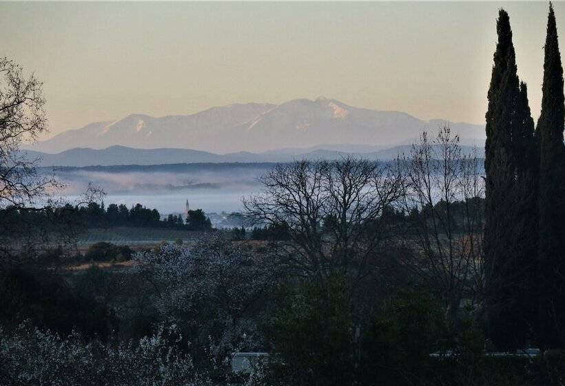 Cheriedel Bed & Breakfast & Art Gallery