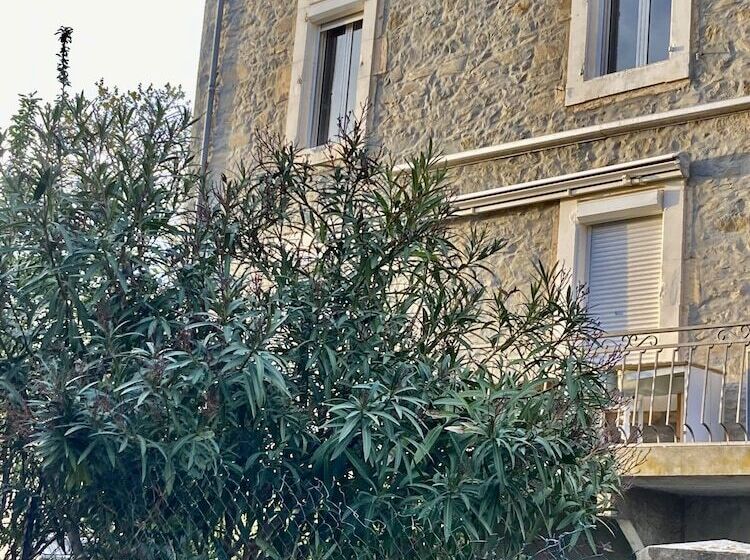 Cheriedel Bed & Breakfast & Art Gallery