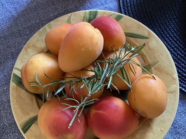 Cheriedel Bed & Breakfast & Art Gallery