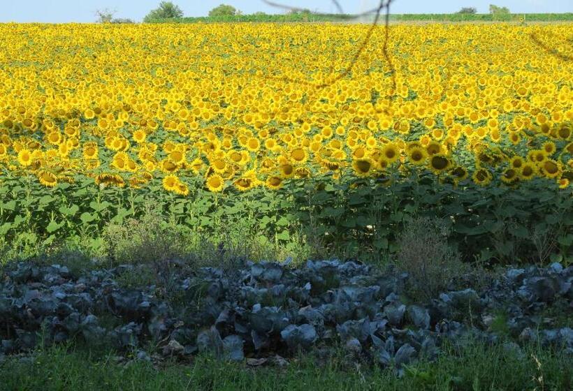 Cheriedel Bed & Breakfast & Art Gallery