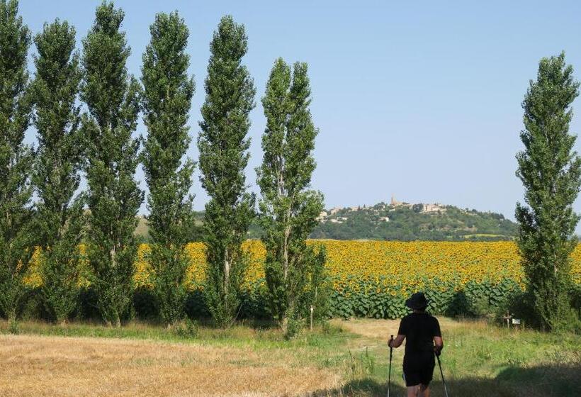 Cheriedel Bed & Breakfast & Art Gallery