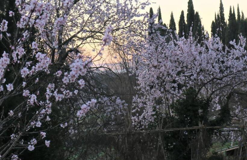 Cheriedel Bed & Breakfast & Art Gallery