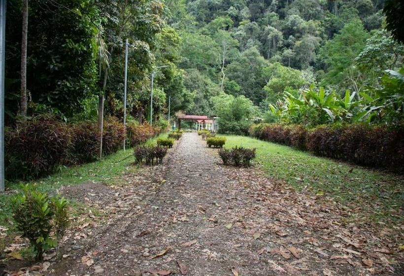 ホテル Ecologico Villa Jennifer