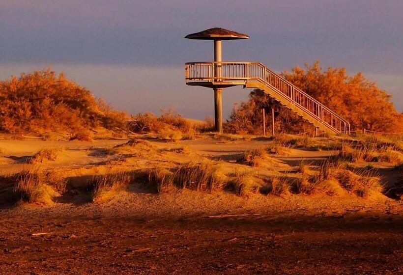 Отель Hostal Restaurant Paca