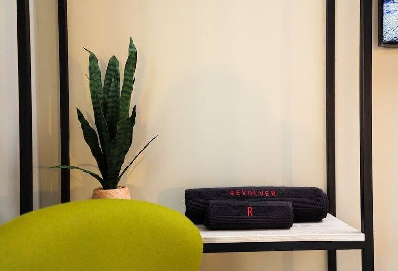 בית מלון כפרי Revolver