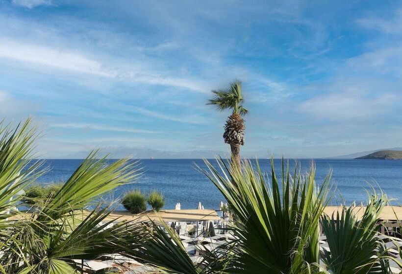 فندق Zuzuu Beach