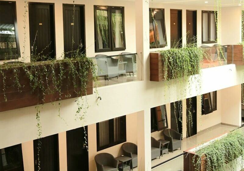 بنسيون Class Premium Guest House