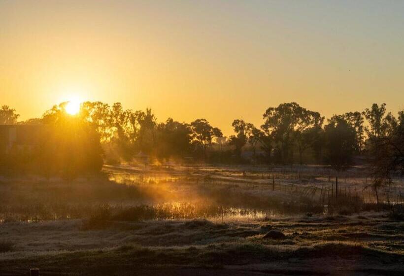 פנסיון Wapad Gastehuis