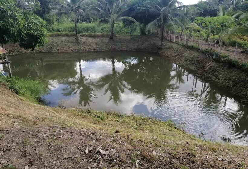 Курорт Sameikei Homestay