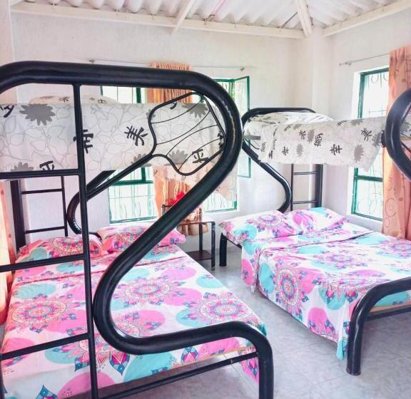 בית מלון כפרי Campestre Las Marias  El Colegio