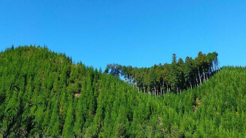 فندق Guest House With Host Takao Sora  Vacation Stay 13000