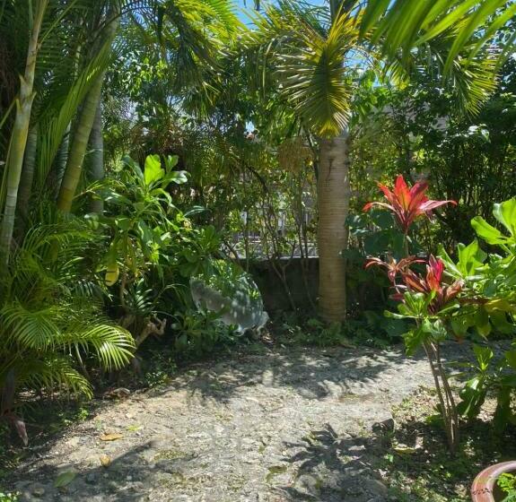 Pension (Hôtel basse catégorie) ゲストハウス303