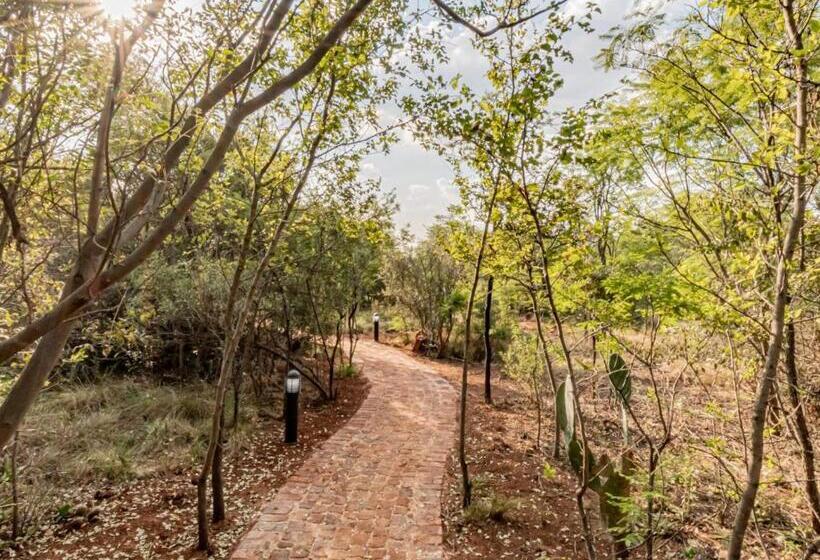 膳宿费 Featherwood Farm & Nyala Lodge