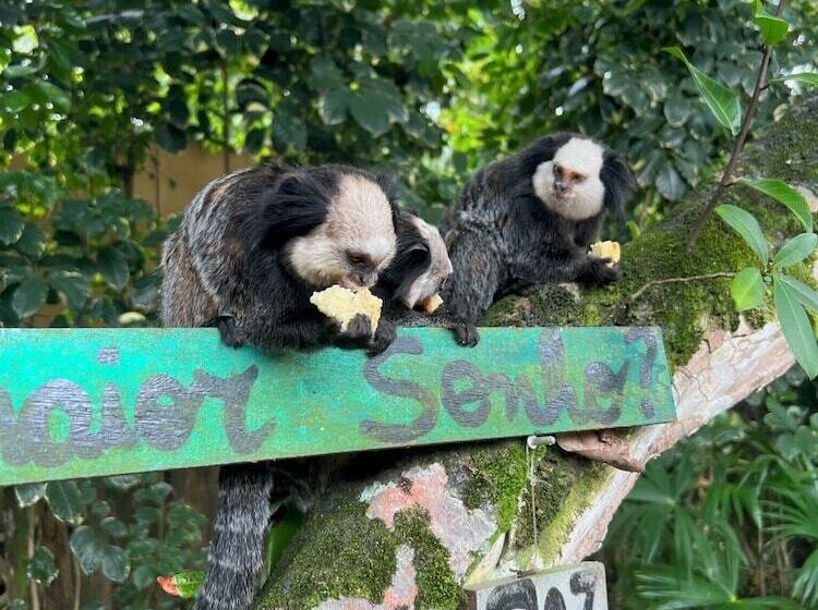 Pension Pousada Terra Coral