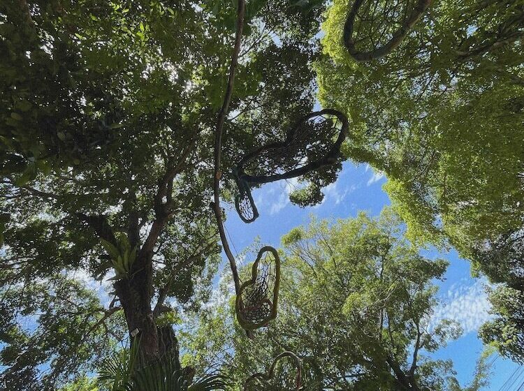 Pension Pousada Terra Coral