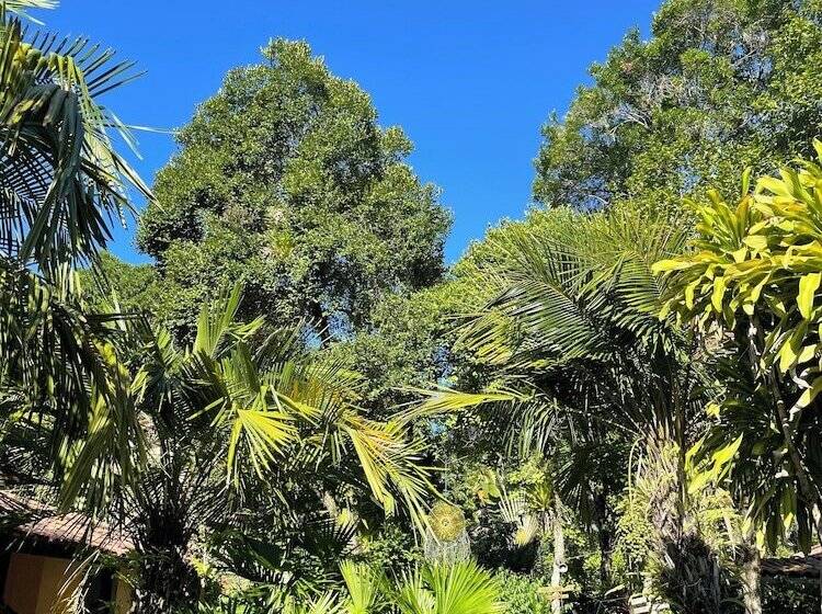 Pension Pousada Terra Coral