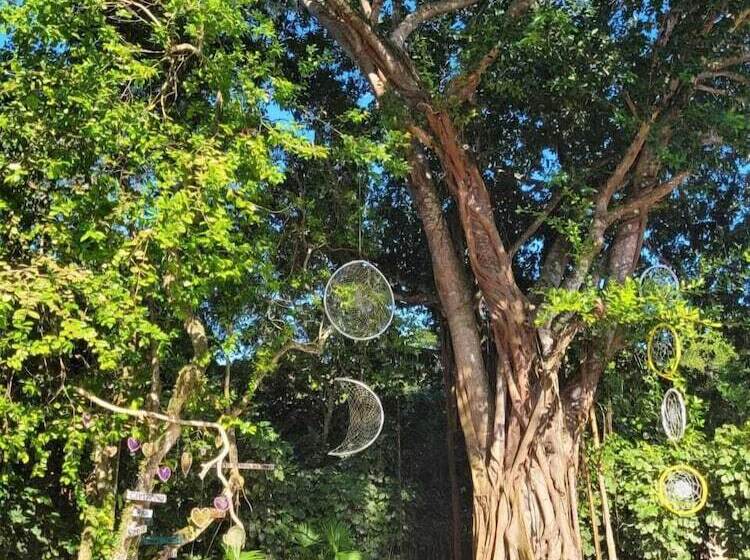 Pension Pousada Terra Coral