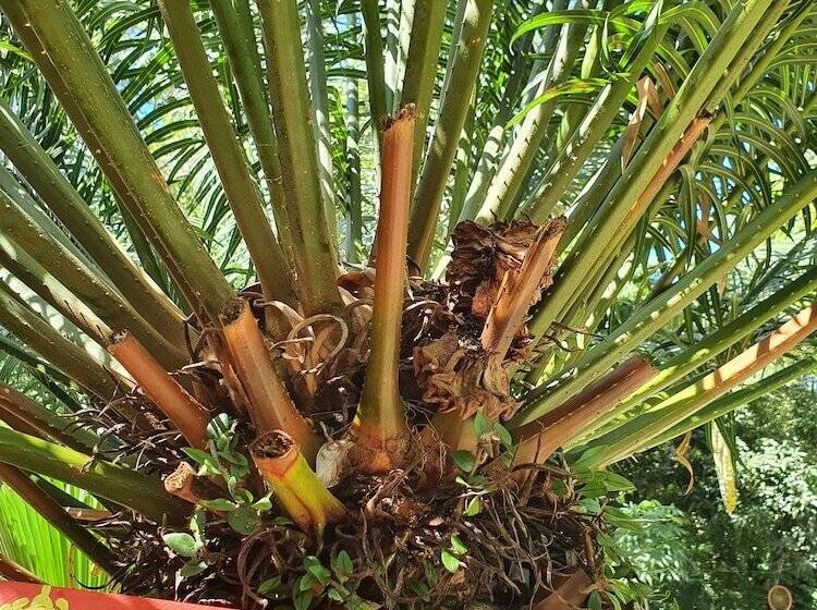 Pension Pousada Terra Coral