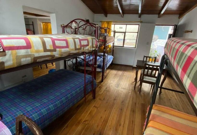 호스텔 Hostal La Guayunga Rooftop