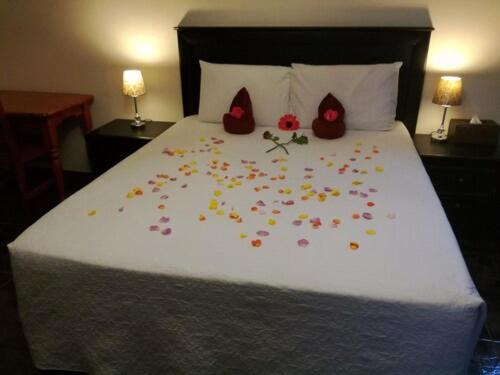 צימר Petra Lodge