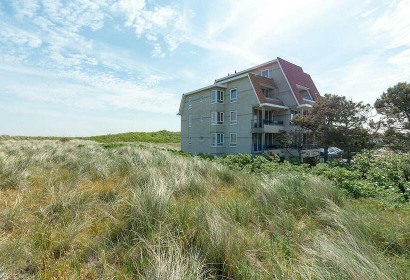 Apartment With Kitchen