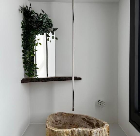 Castor Coquin Aubagne Cassis Aix En Provence