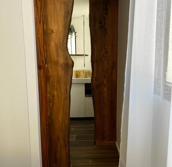 Castor Coquin Aubagne Cassis Aix En Provence