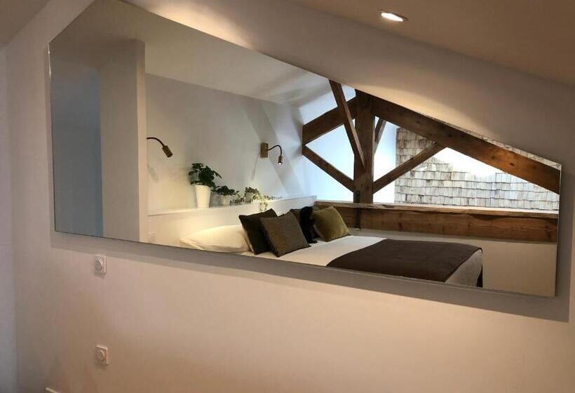 Castor Coquin Aubagne Cassis Aix En Provence