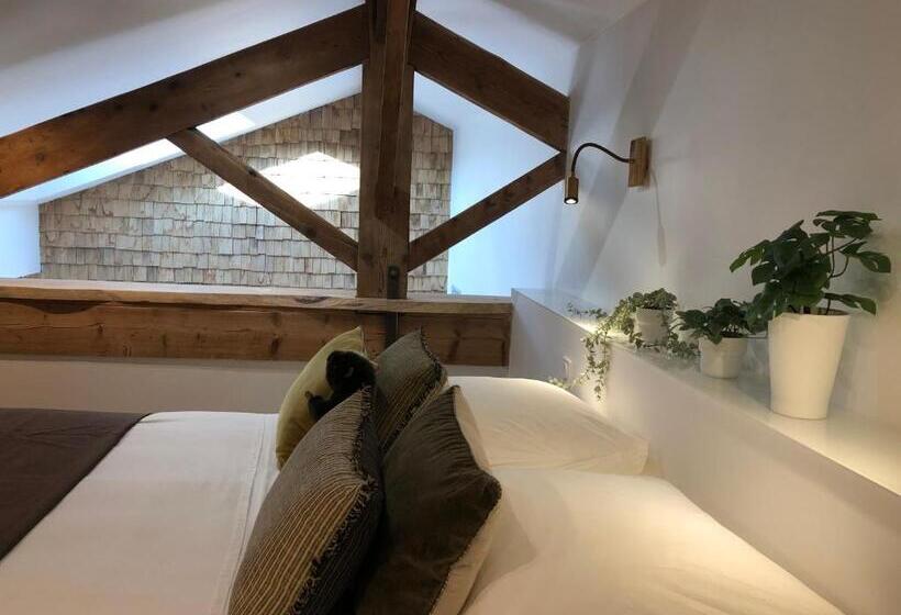 Castor Coquin Aubagne Cassis Aix En Provence