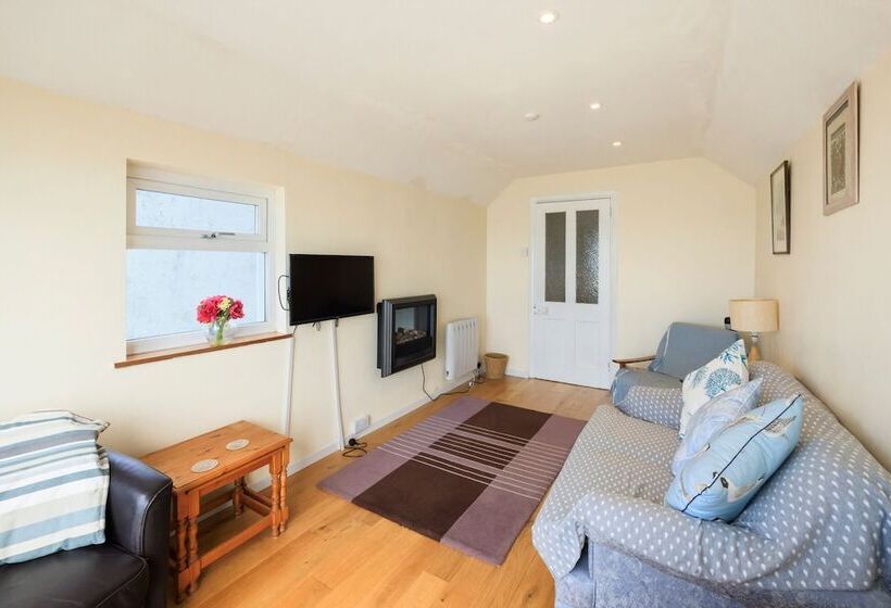 Borth Family House On The Beach Sleeps 7