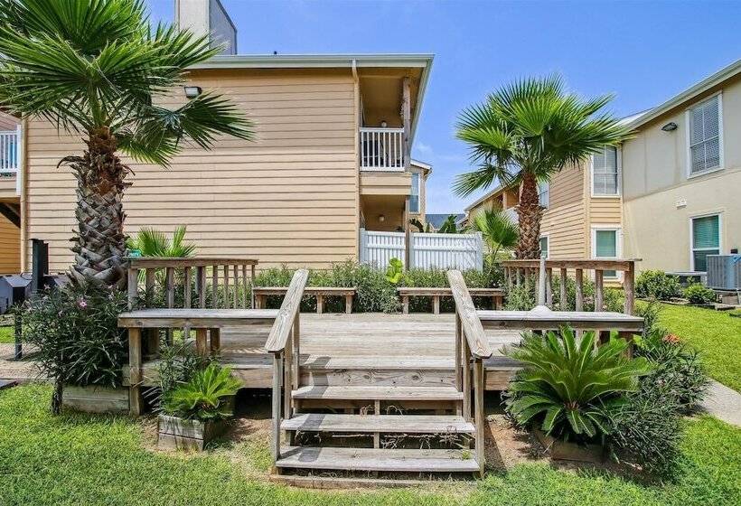 Palms At Cove View 1704   Glowing Fun