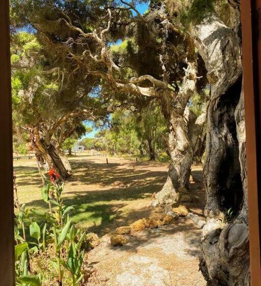 Peacehaven Shack On The Irwin Inlet