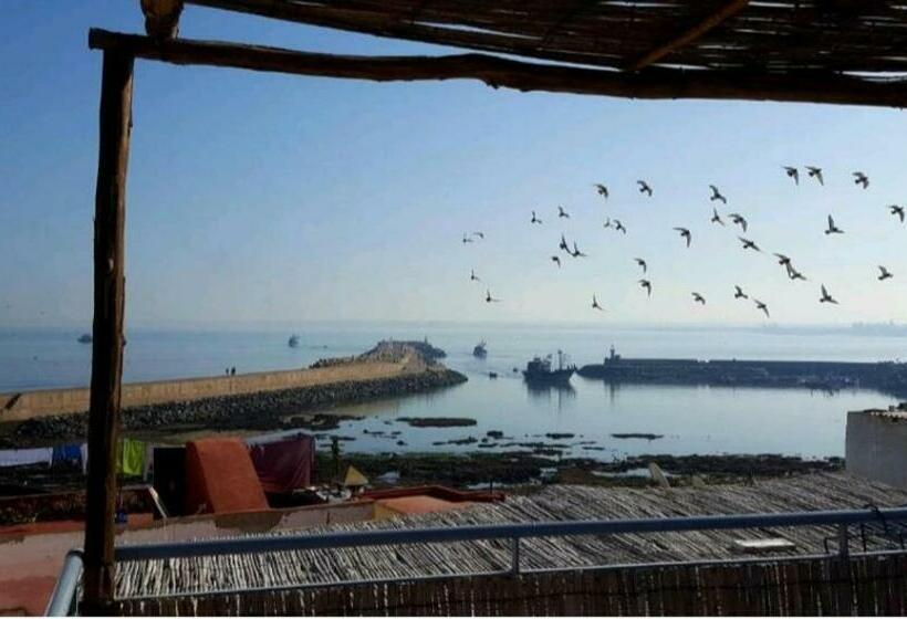 膳宿费 Art Riad Mazighen