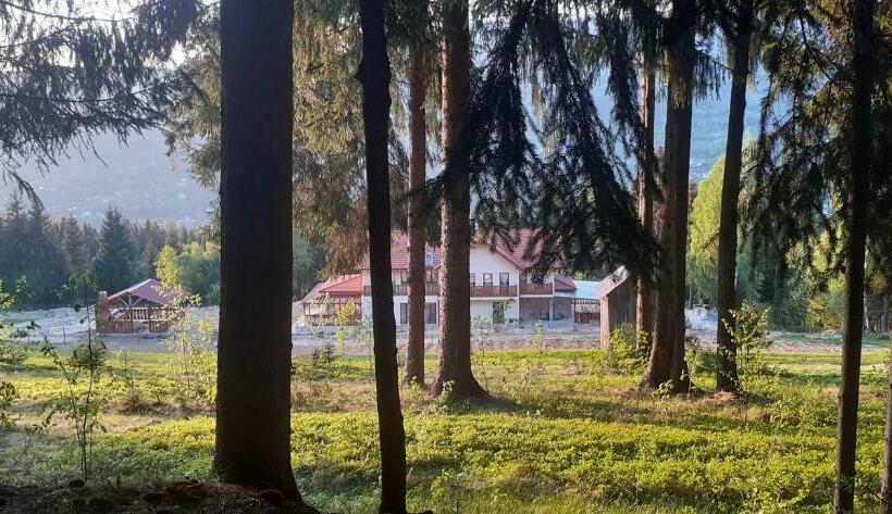 פנסיון Poiana Brazilor