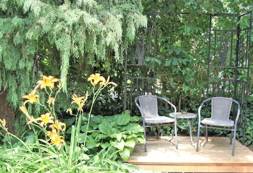 Ambiance By The Falls Cozy Suite