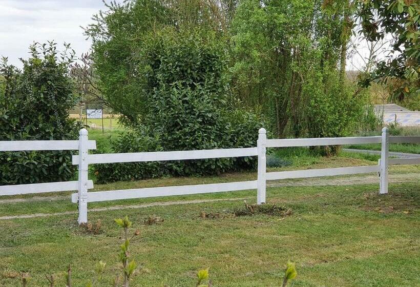 Bed and Breakfast Oharas