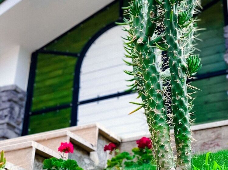 فندق Beacon Hill Suites