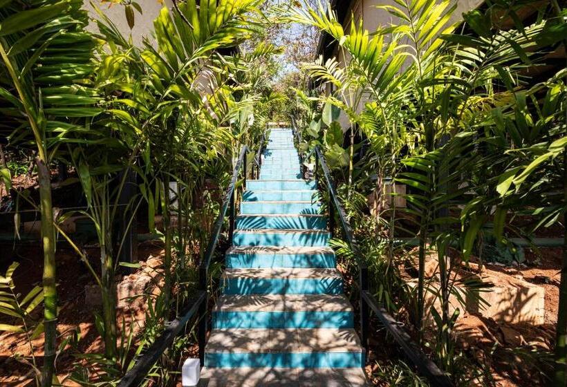 בית מלון כפרי Canary Islands Resort & Spa