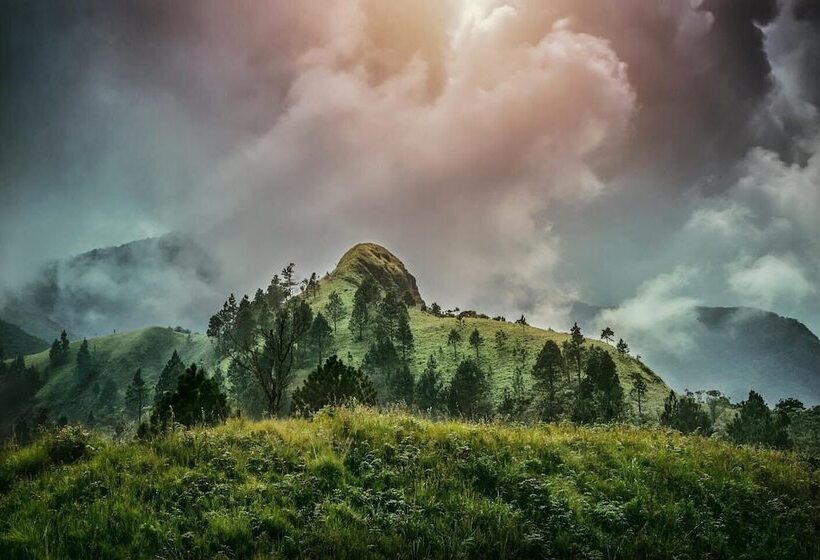 ホテル The Capoe House